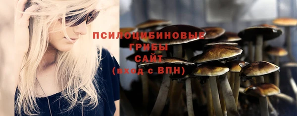 спайс Костерёво