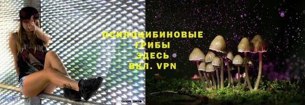 спайс Костерёво
